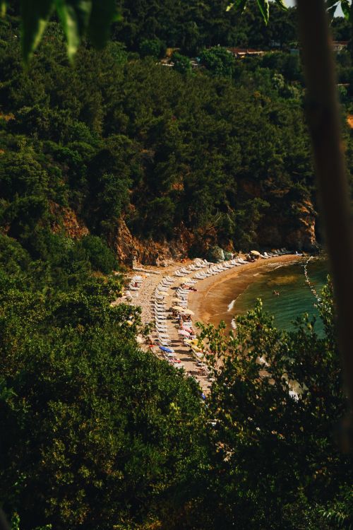 Free Serene beach surrounded by lush green forest, offering a peaceful retreat with sun loungers. Stock Photo