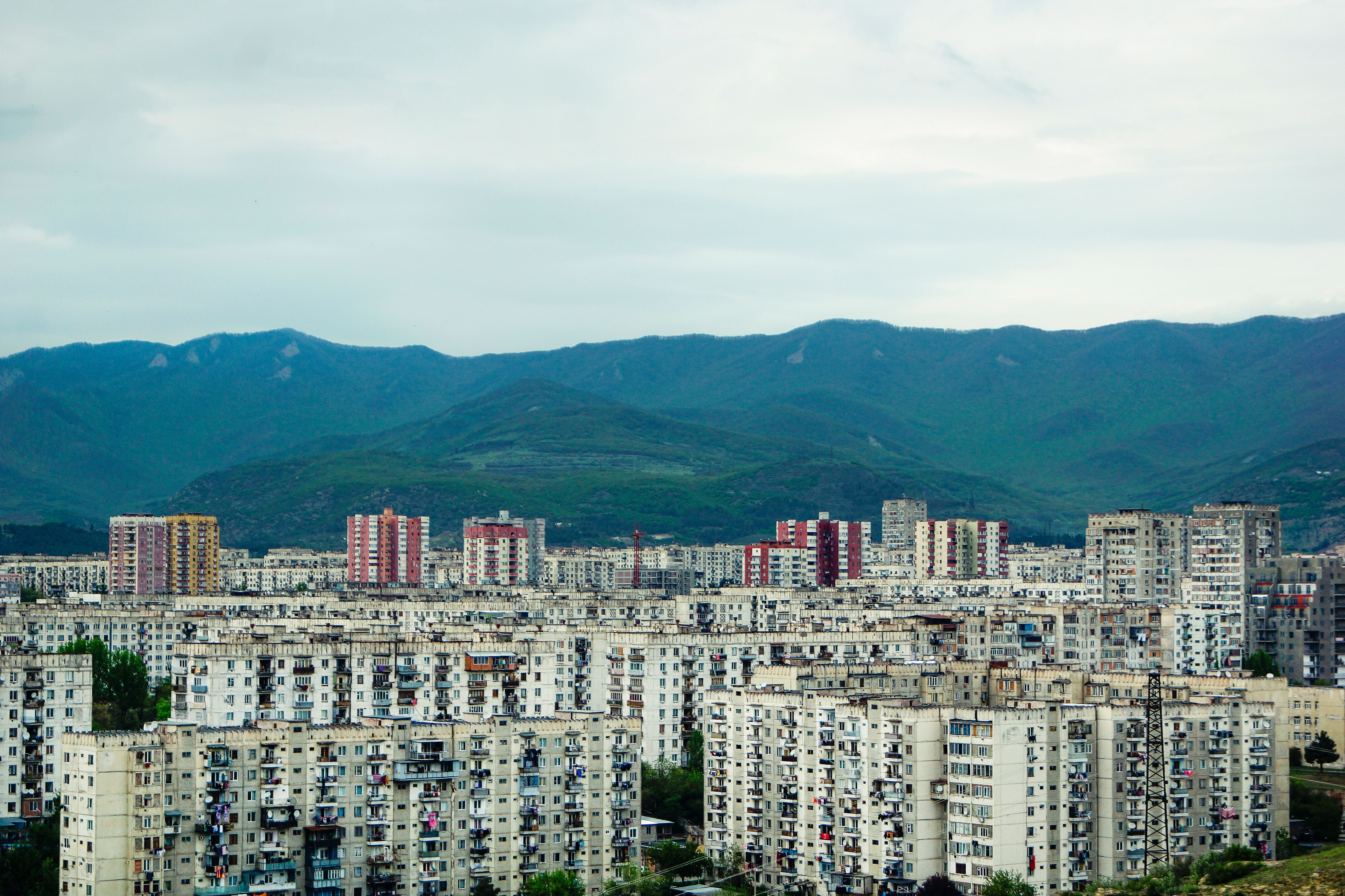 Goraj