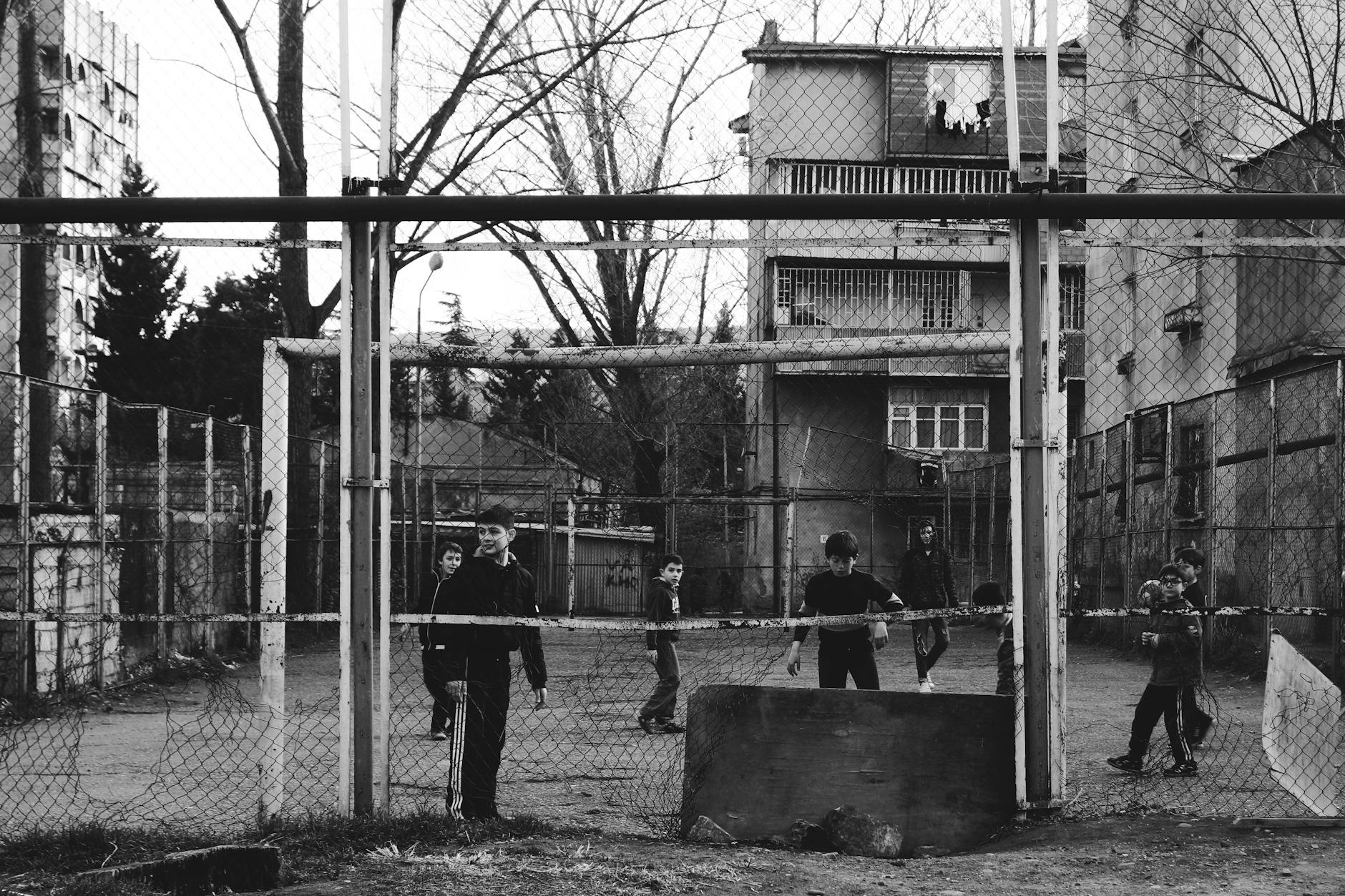 立式划槳之旅 水岸美景探索 立式划槳之旅 水岸美景探索