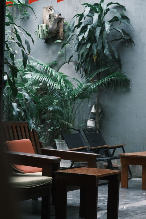 Free Relaxing indoor garden with lush tropical plants and cozy seating area. Stock Photo