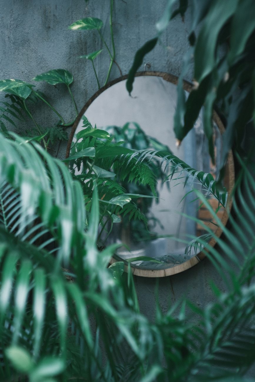 A round mirror reflects vibrant green plants creating a lush indoor jungle effect.