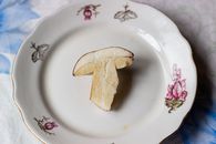 A single mushroom slice on a vintage floral-designed plate, perfect for culinary or still life themes.