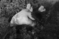 一张黑白艺术照片中，一名成年男性裸体置身于植物与花朵之间