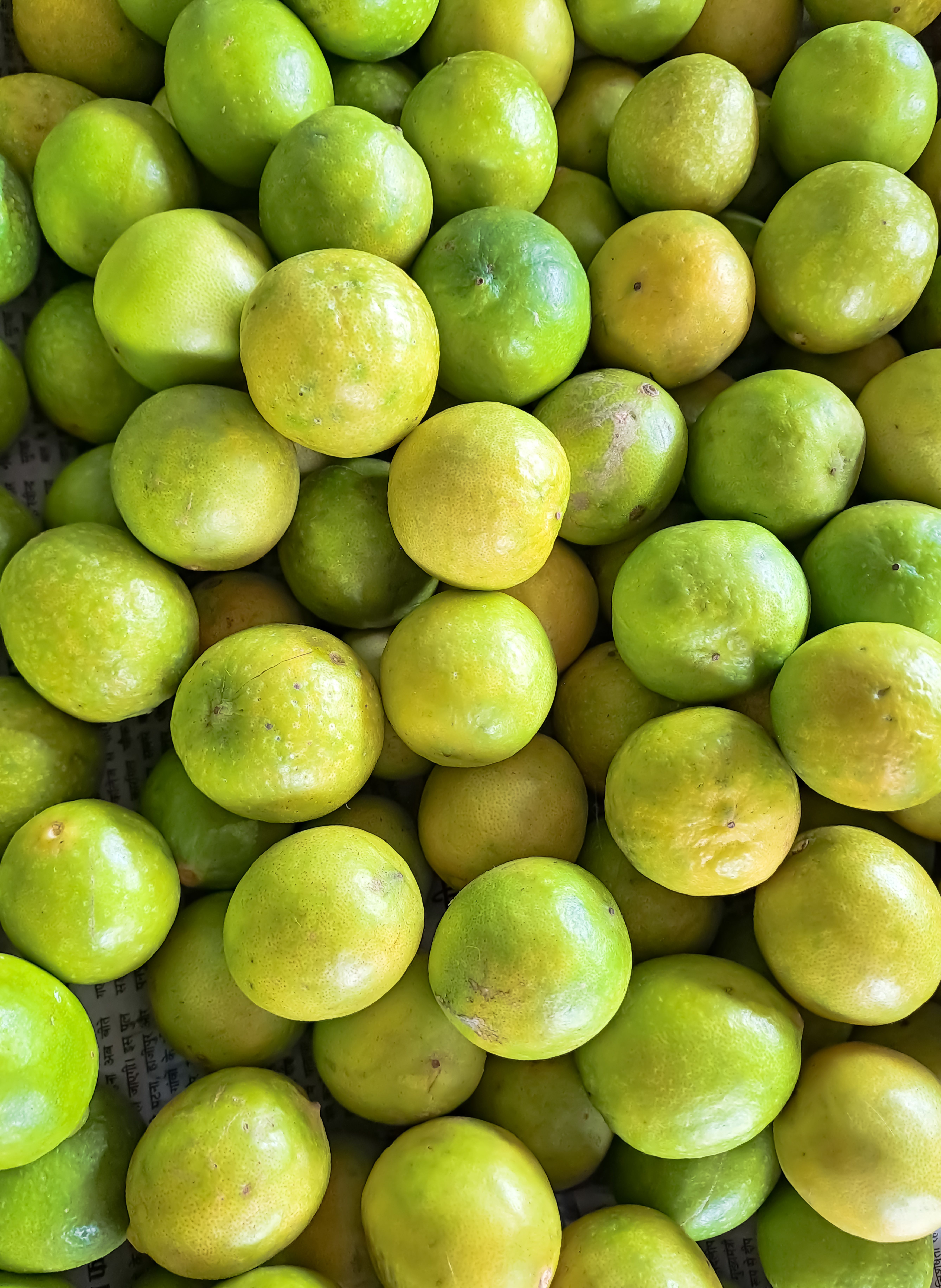 Vibrant green lemons stacked closely together in Aurangabad market, India.