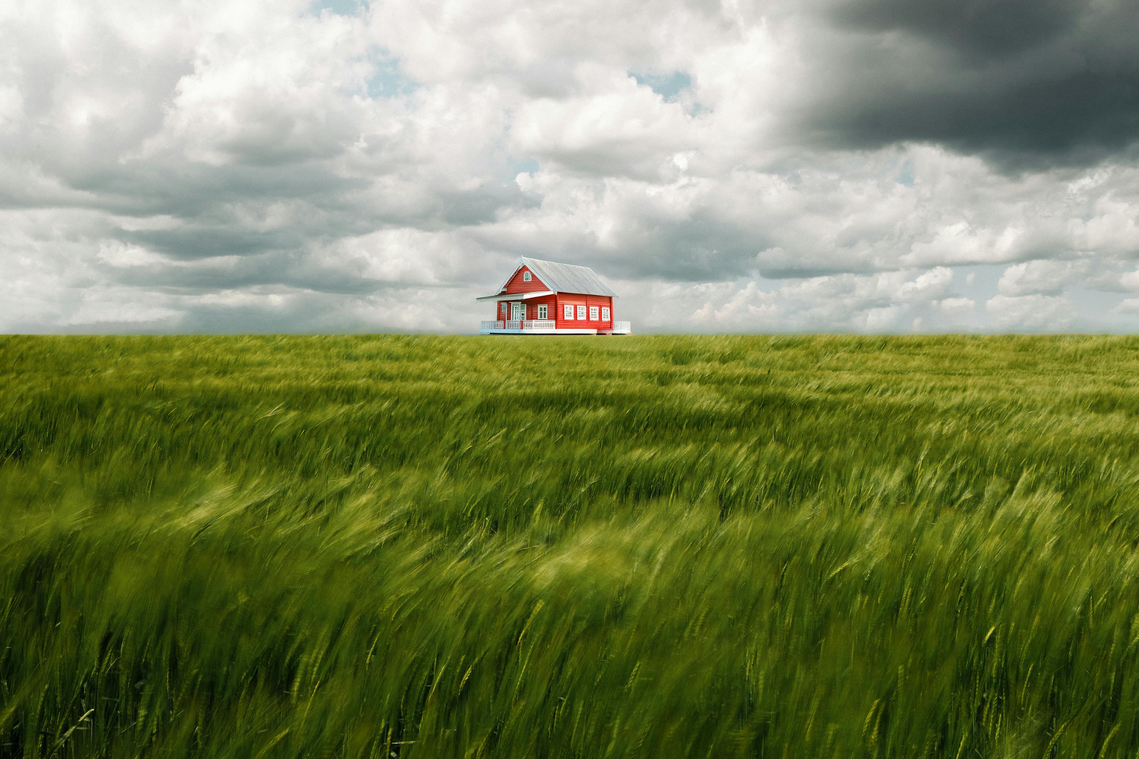 S.C. House advances small business tax proposal — Photo by Anton Massalov on Pexels