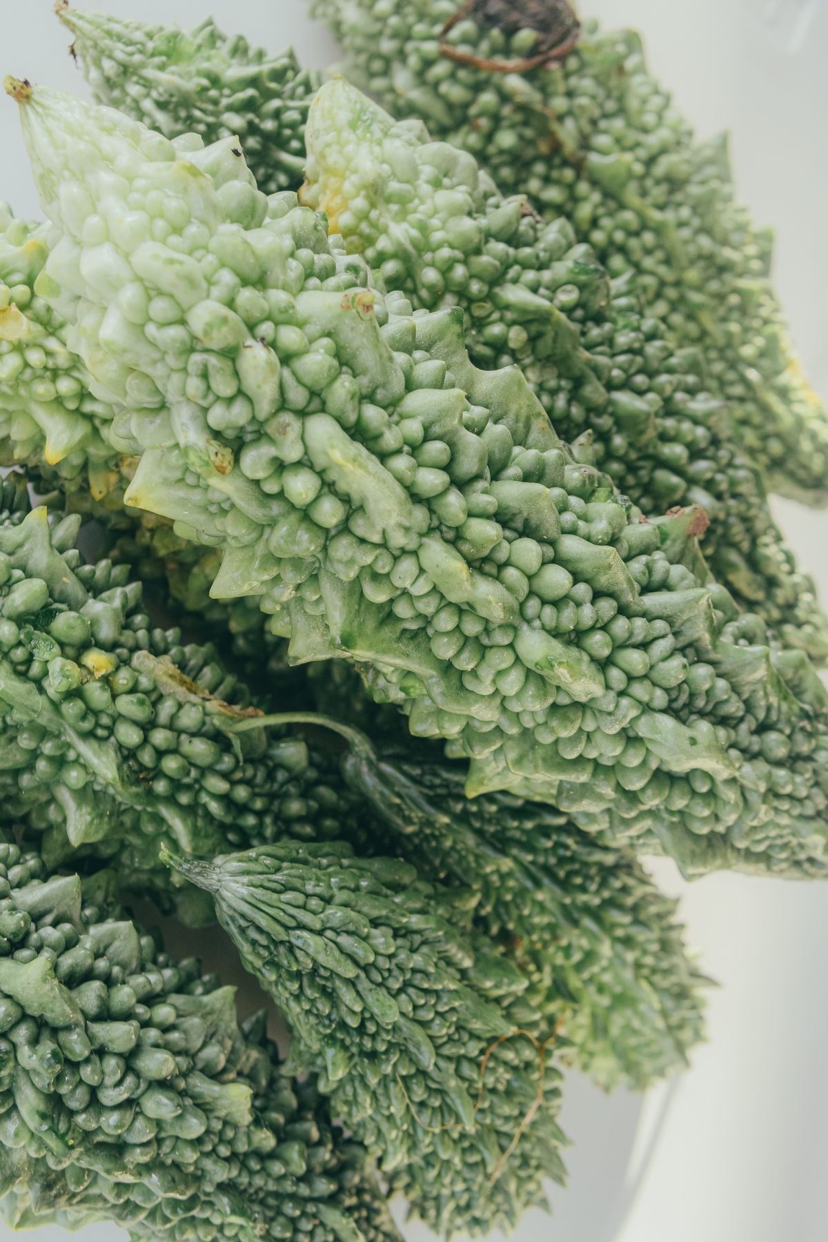 Goya — Okinawa's Signature Vegetable