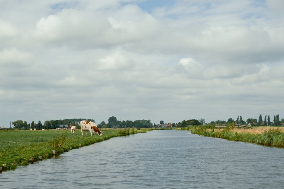 Balade à vélo dans la campagne de Waterland