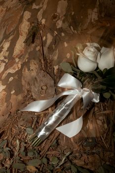 A white rose bouquet with ribbon placed on textured tree bark, evoking rustic elegance.
