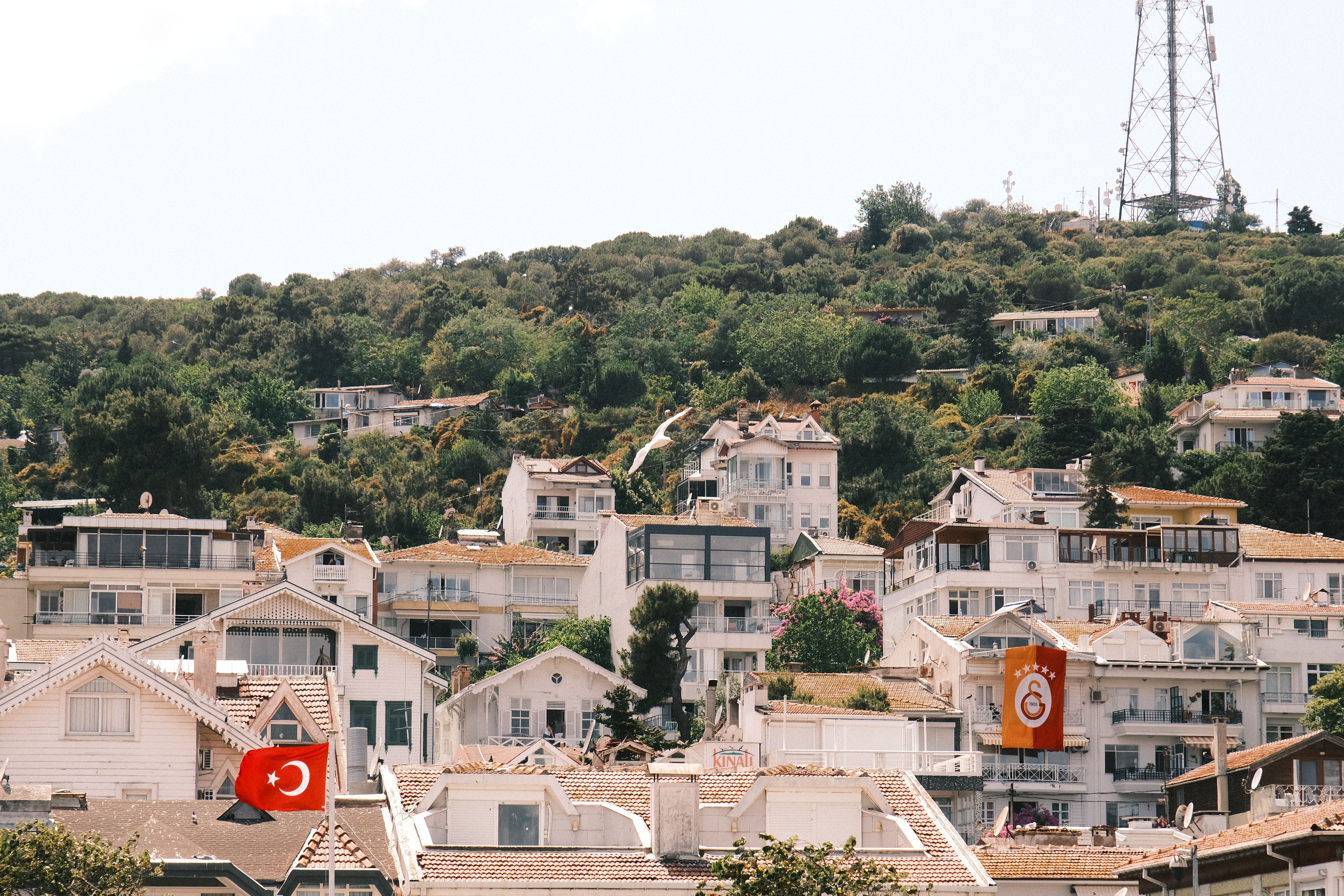 Charming hillside homes with lush greenery in Turkey, featuring a Turkish flag and Galatasaray emblem.
