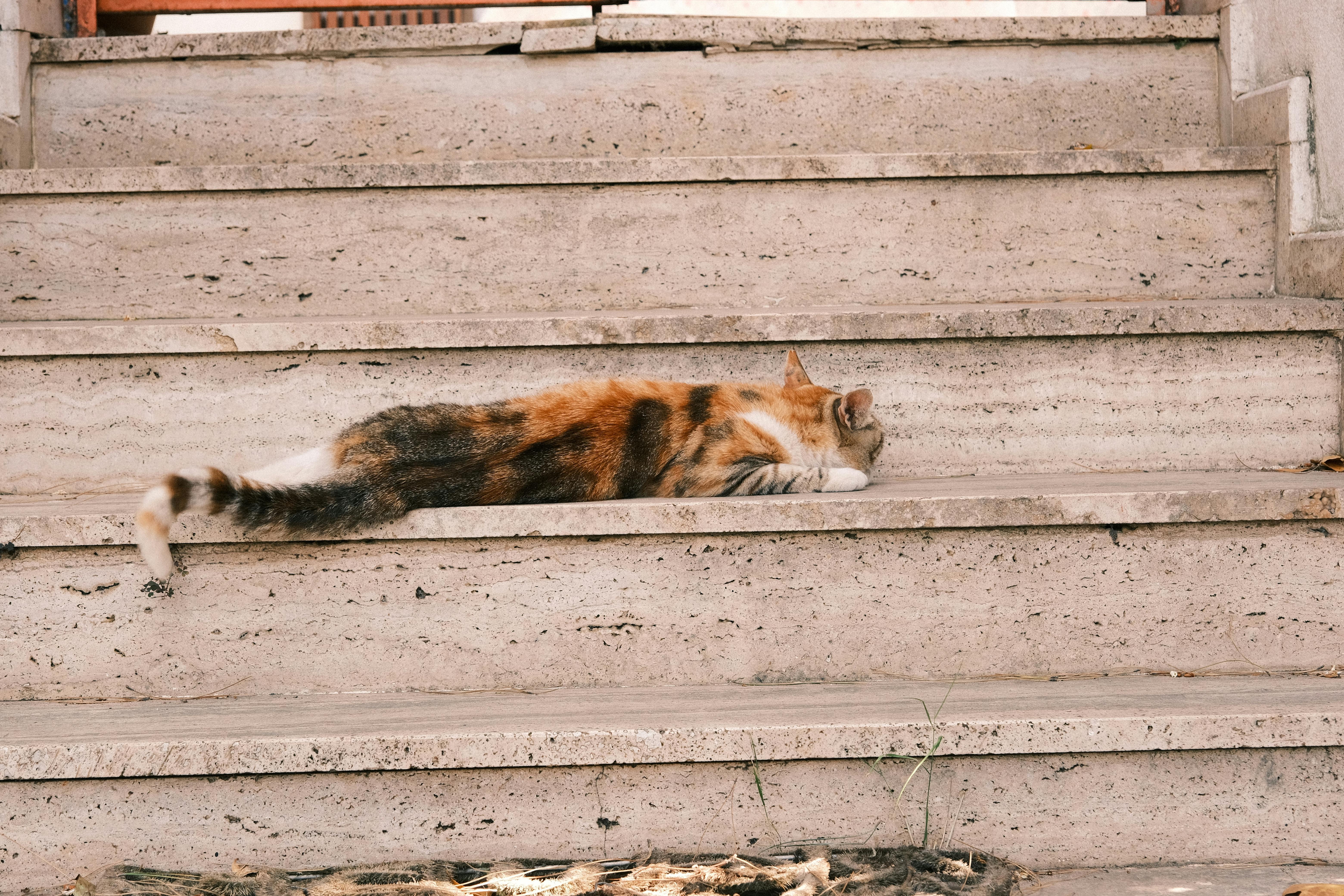Ancient Palaces, a Cat Café, and KPop Demon Hunters—the Perfect Family Travel Itinerary for South Korea — Photo by Yaşar Başk