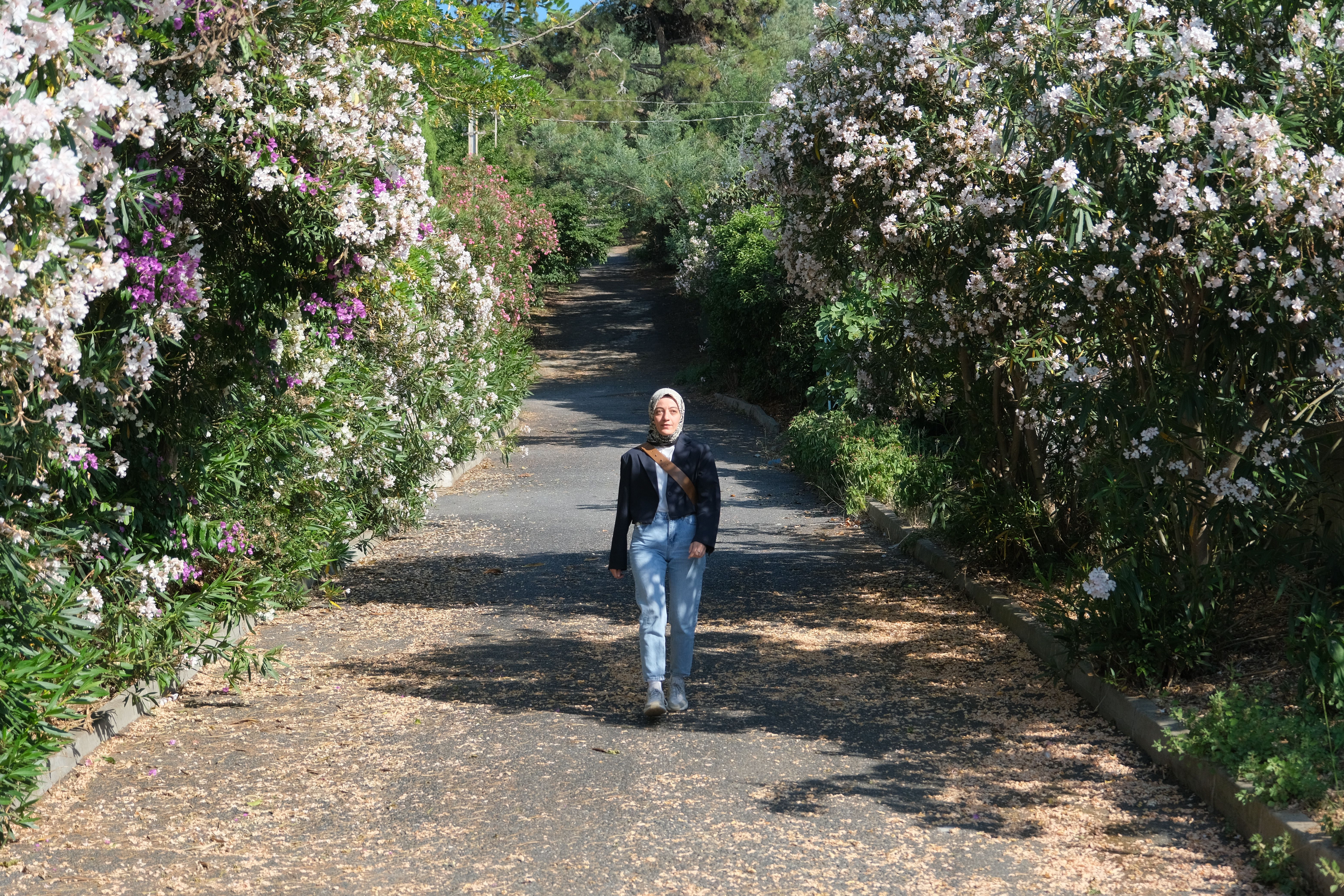 Woman walks along a scenic path lined with blooming trees in spring sunlight.