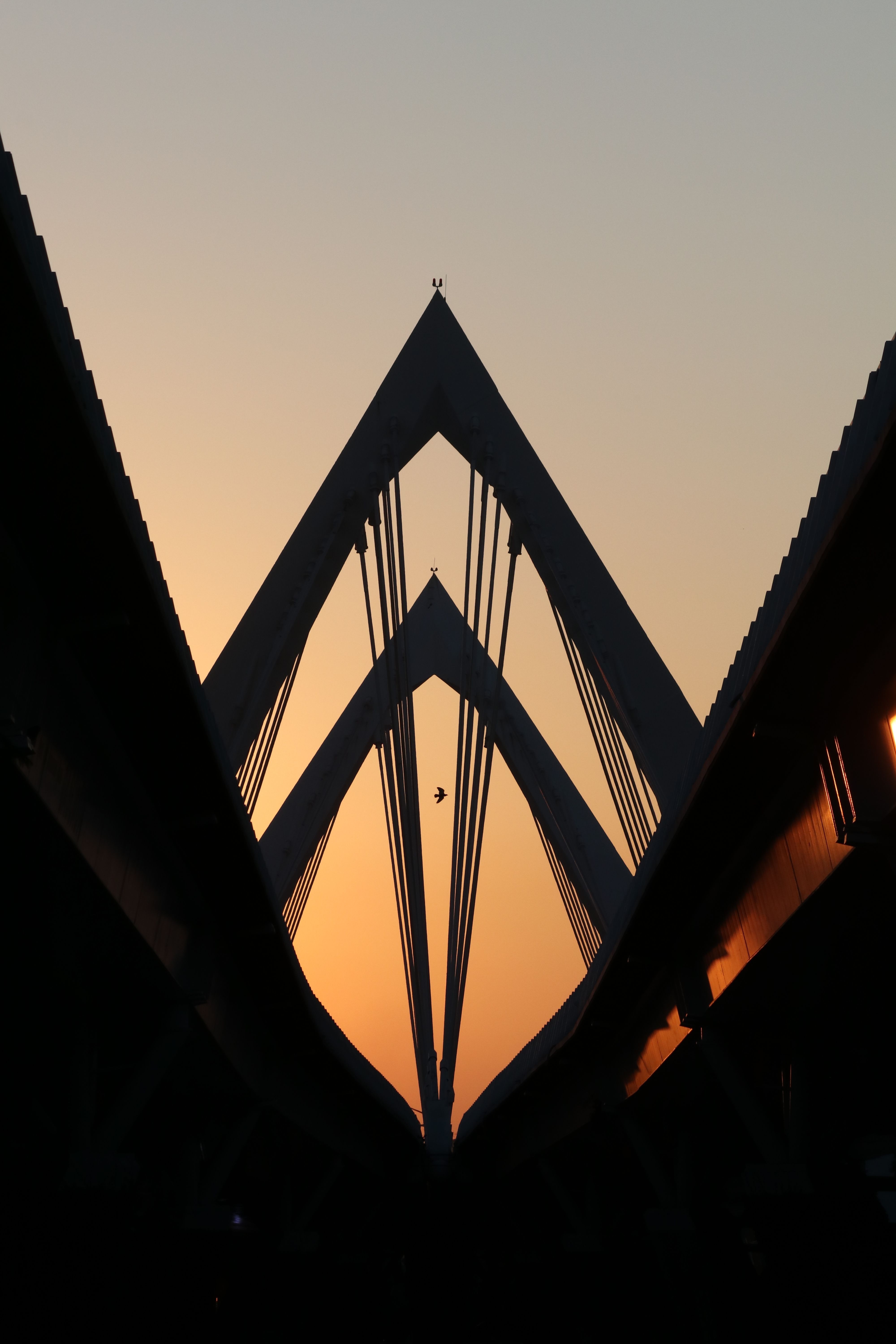 Stunning Silhouette of Cable-Stayed Bridge at Sunset · Free Stock Photo