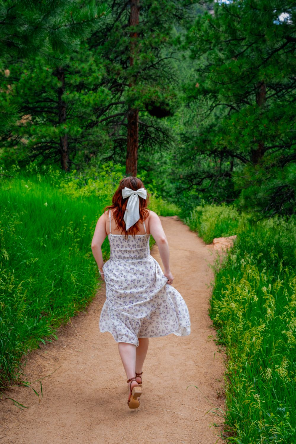 Young Woman Strolling Through Summer Forest Trail · Free Stock Photo