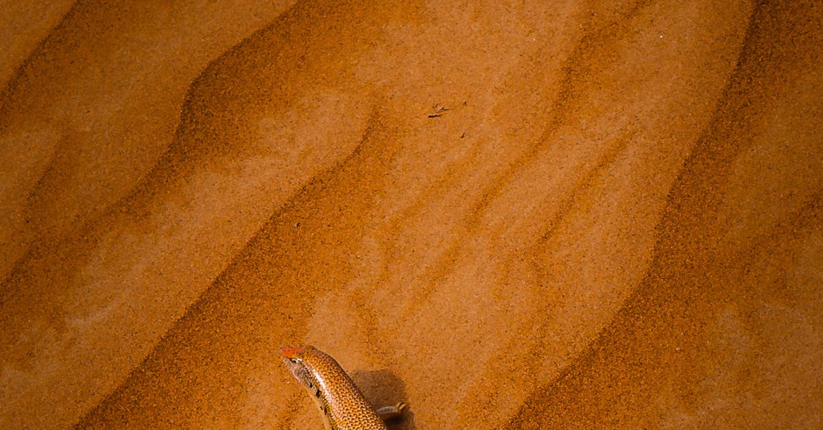 極端氣候來襲 台東環保局推綠色生活抗變遷