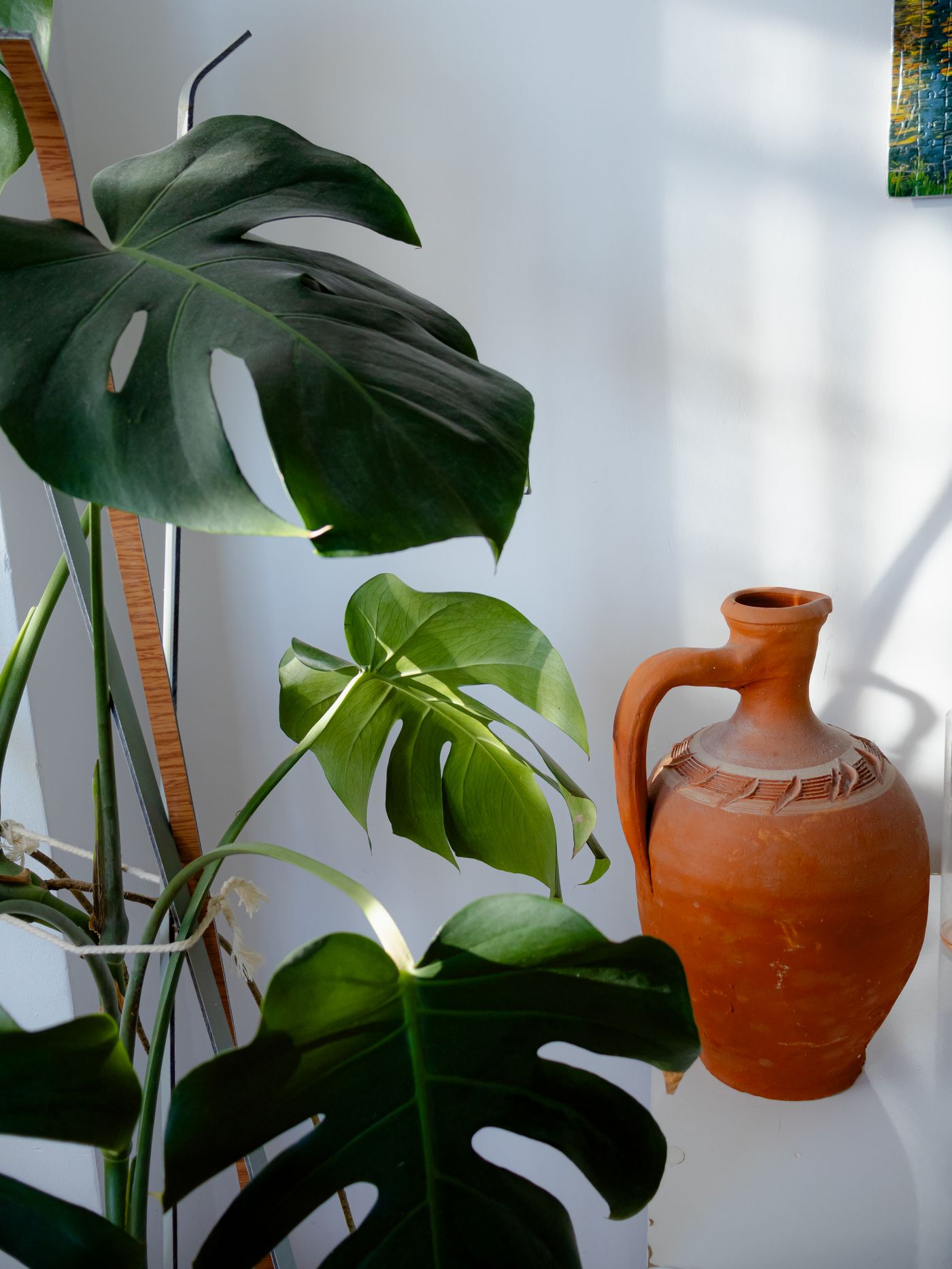 Clay and green, The Clay House