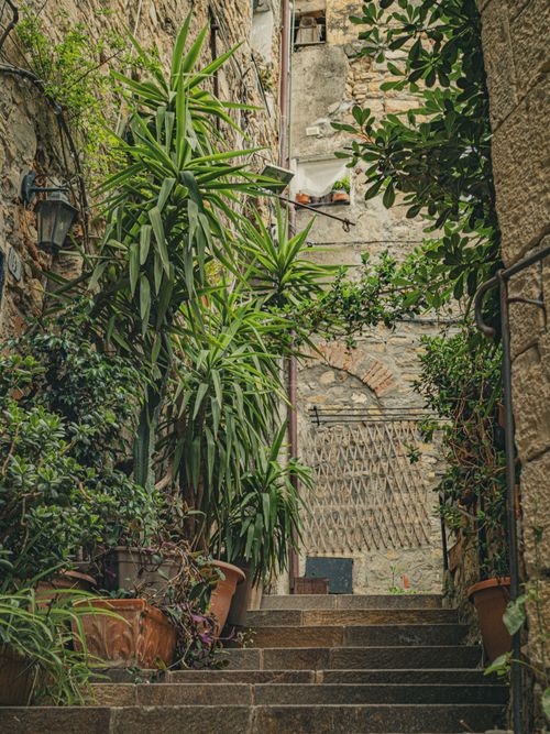Free A picturesque stone alleyway adorned with lush greenery and potted plants, evoking a serene, Mediterranean vibe. Stock Photo