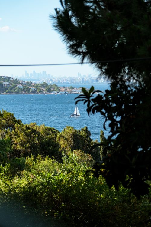 Free A picturesque sailboat on a tranquil lake with lush greenery. Ideal for travel and nature themes. Stock Photo