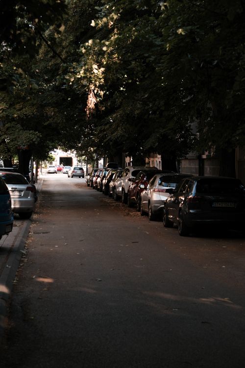 Free Tranquil tree-lined street with parked cars in North Macedonia, showcasing urban serenity. Stock Photo