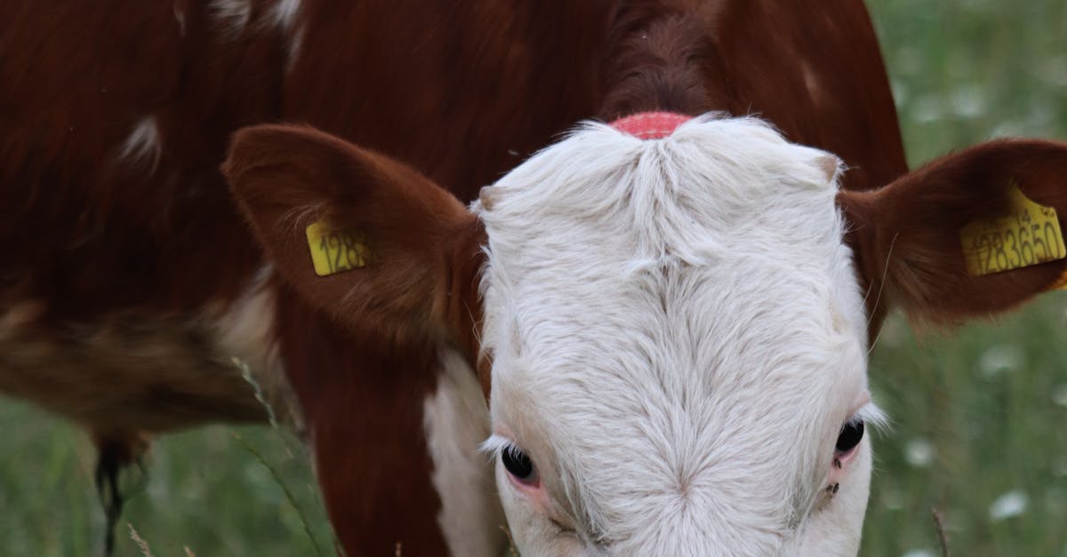 蔣萬安直言 民眾更關心民生議題 不要只搞政治不做正事