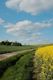Kostenlos Kostenloses Stock Foto zu ackerland, außerorts, blauer himmel Stock-Foto