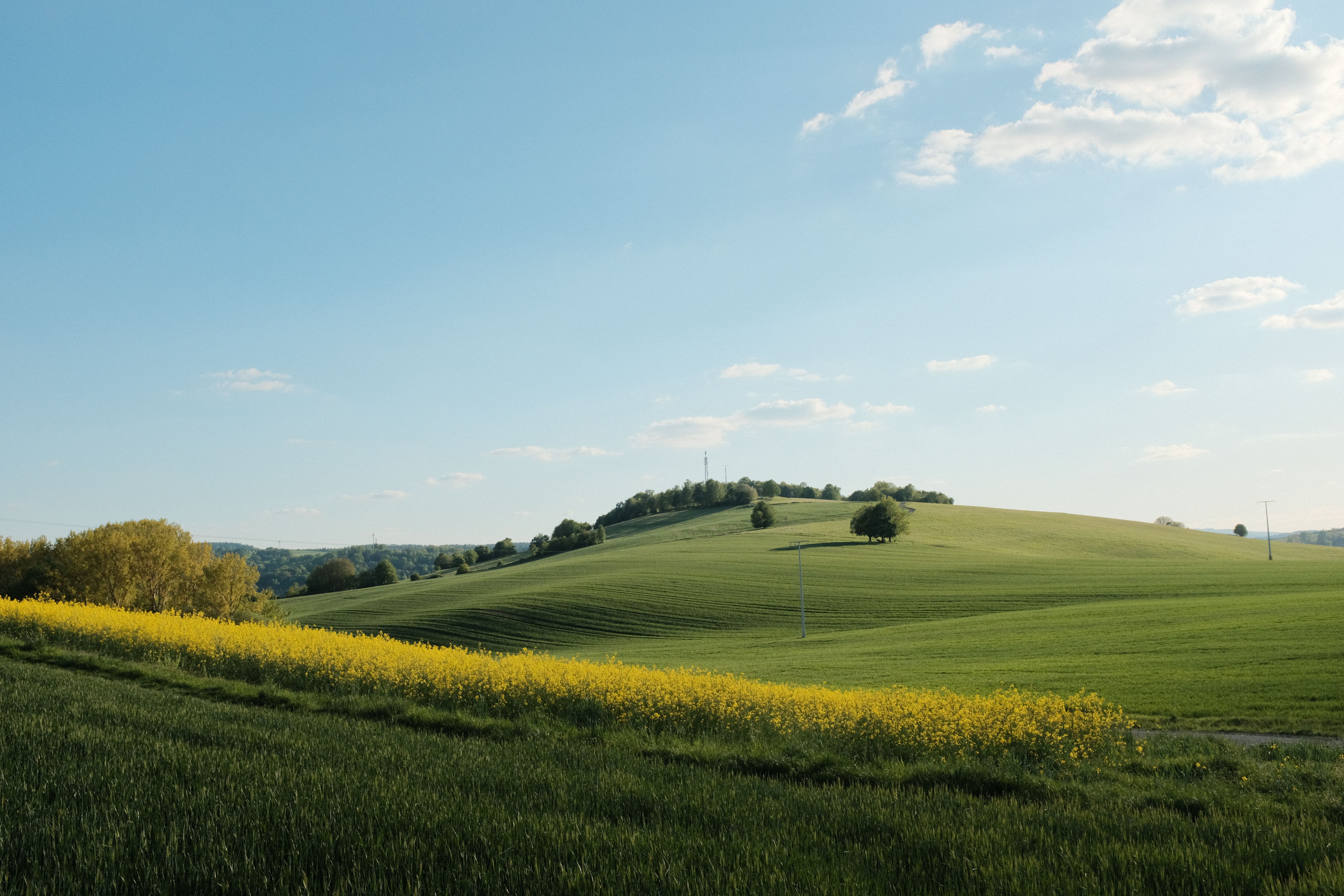 Naturlandschaft mit Wiesen