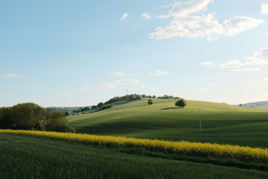 Sunny Day in Rolling Green Hills Landscape · Free Stock Photo