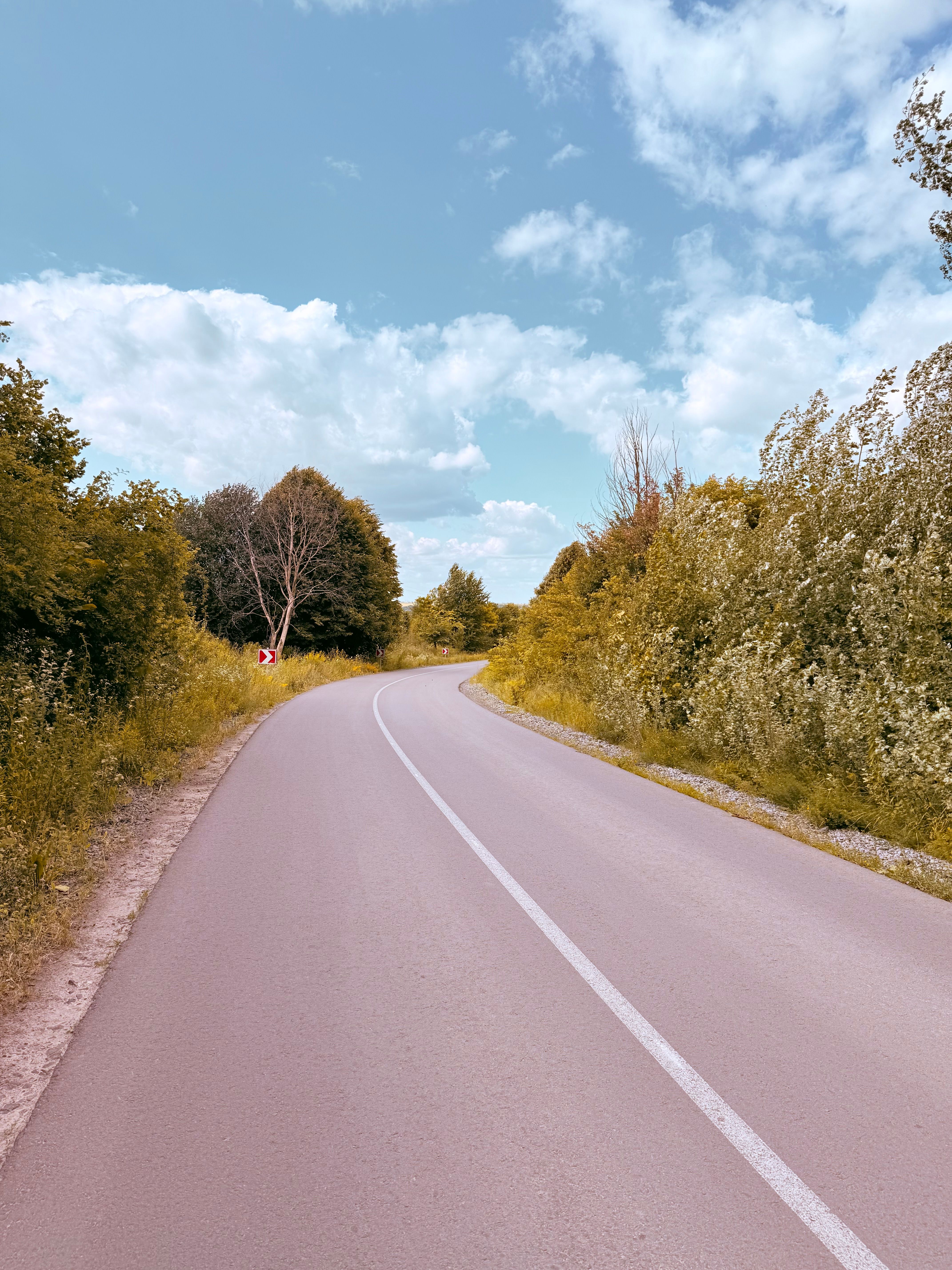 Winding country road surrounded by lush greenery under a blue sky, representing the extended service area near Somerset, KY