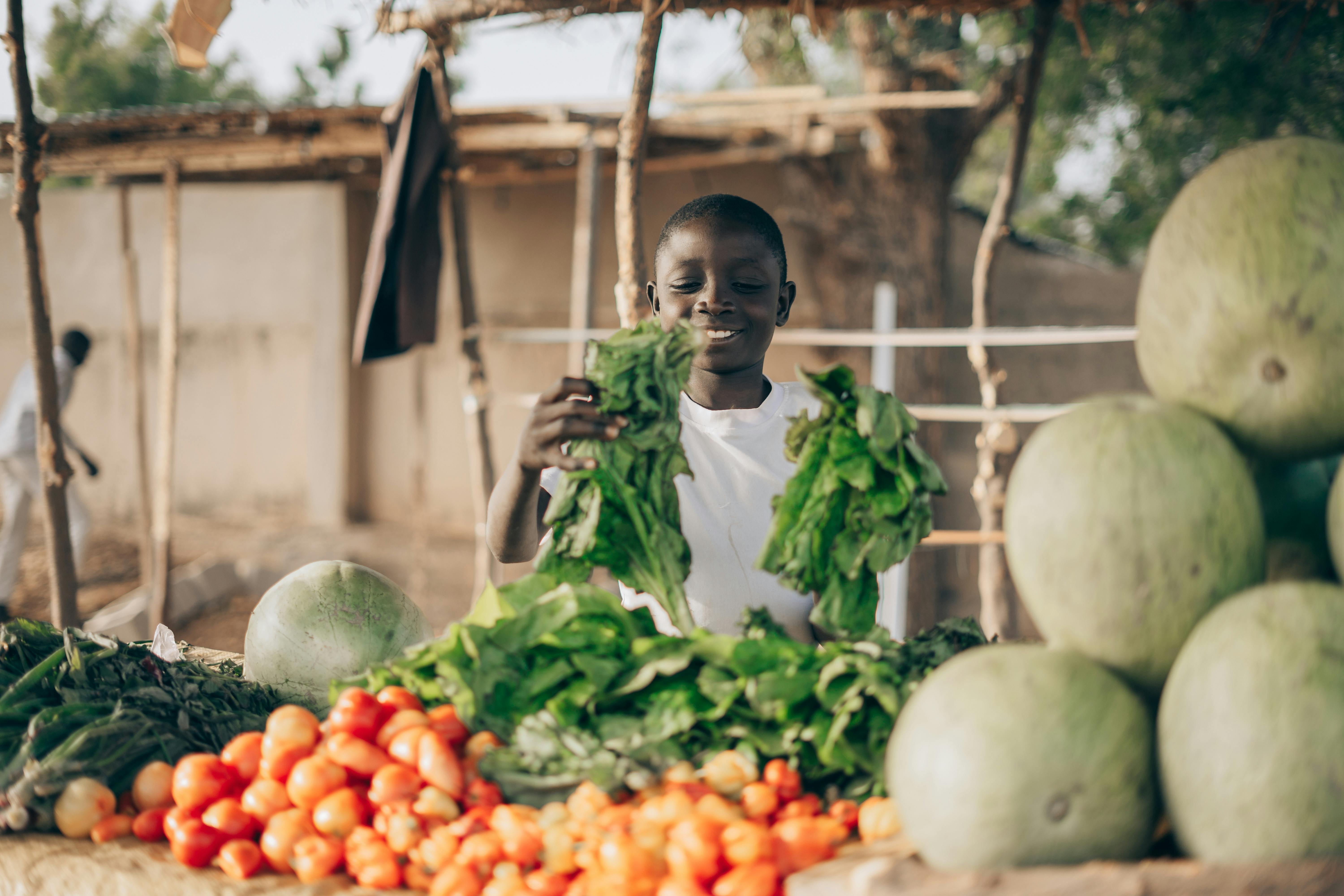 Sustainable Agriculture: The Key to Ending Food Deserts Once and For All