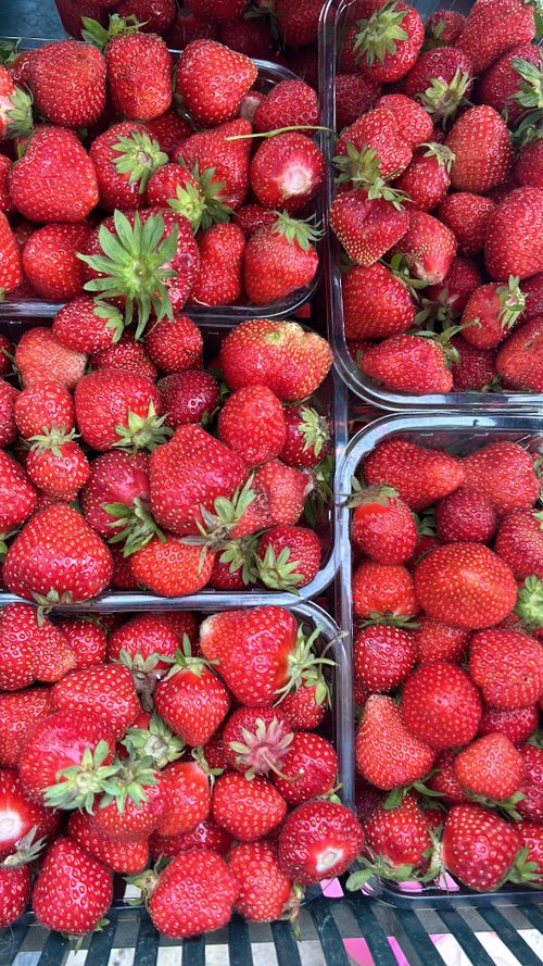 Free Vibrant strawberries neatly packed in containers at an outdoor market. Stock Photo