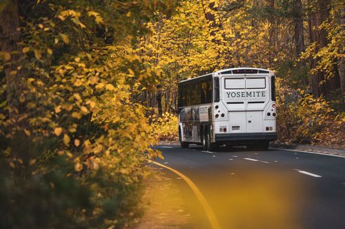 Free A bus drives through the vibrant autumn foliage in Yosemite National Park. Stock Photo