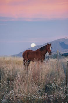 A horse stands in a meadow at sunset with a full moon rising behind, creating a serene atmosphere.