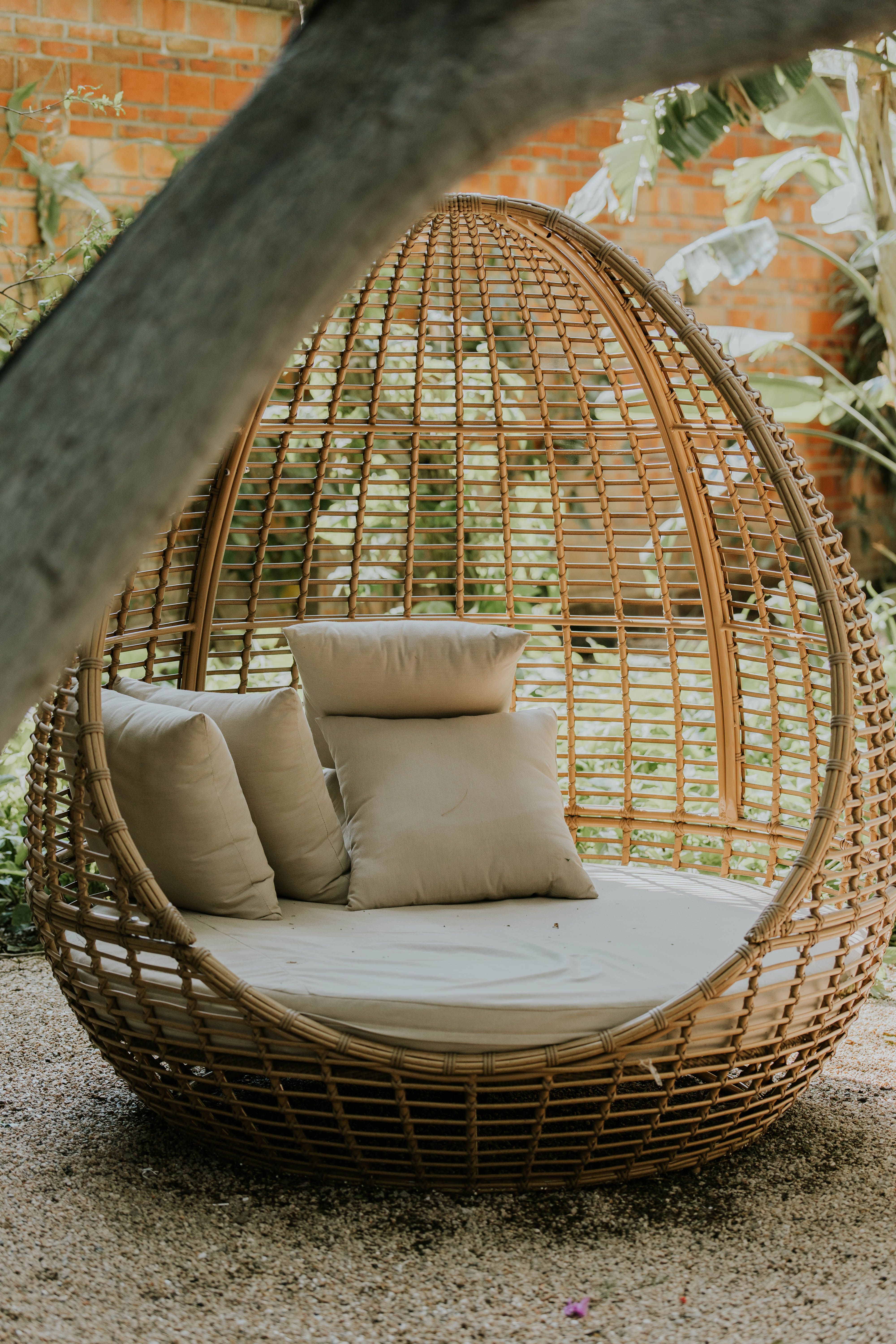 Rattan egg chair Fazit 2026