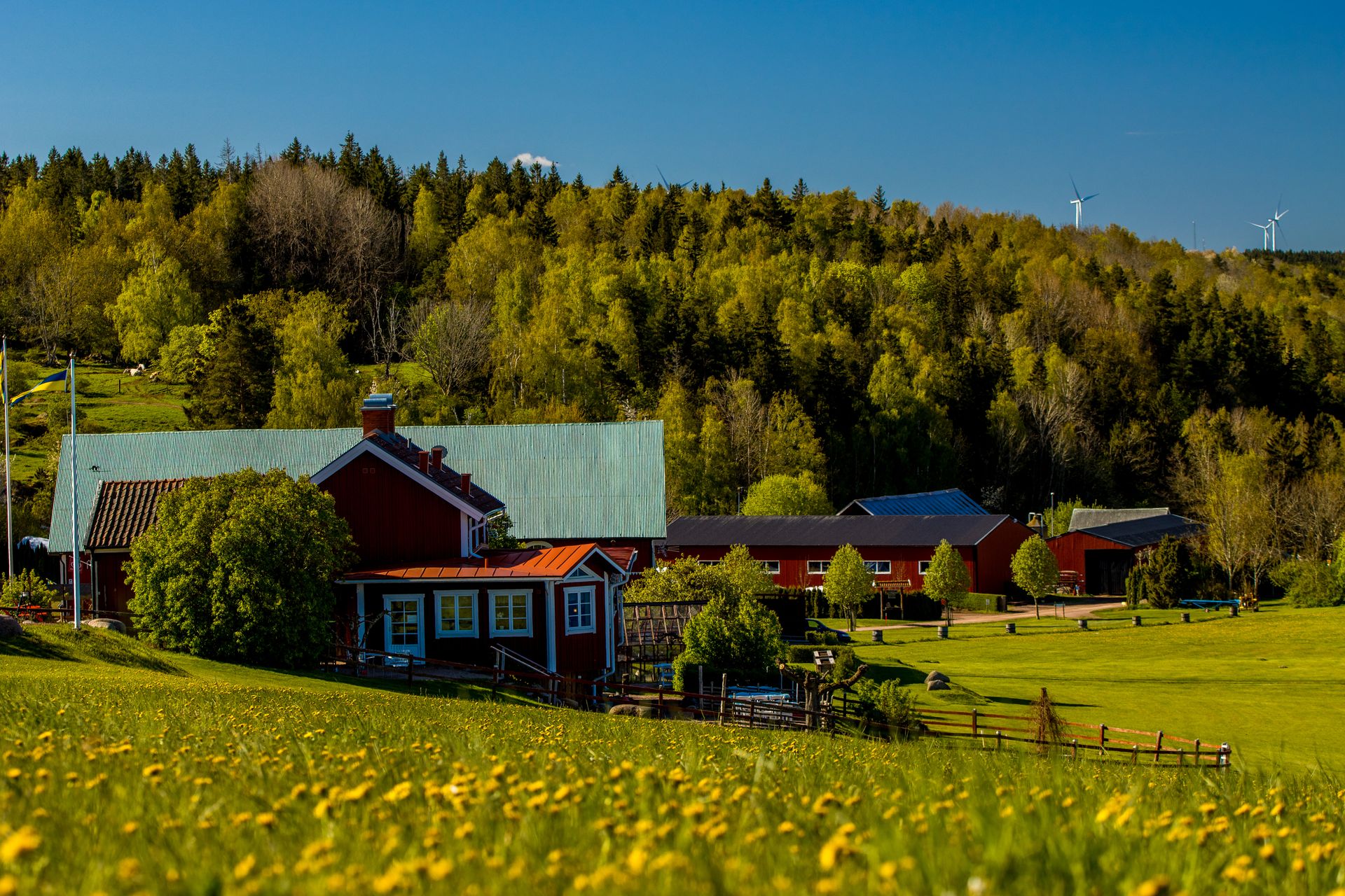 Beautiful Nordic farmhouse amidst lush greenery in Gränna, Sweden.