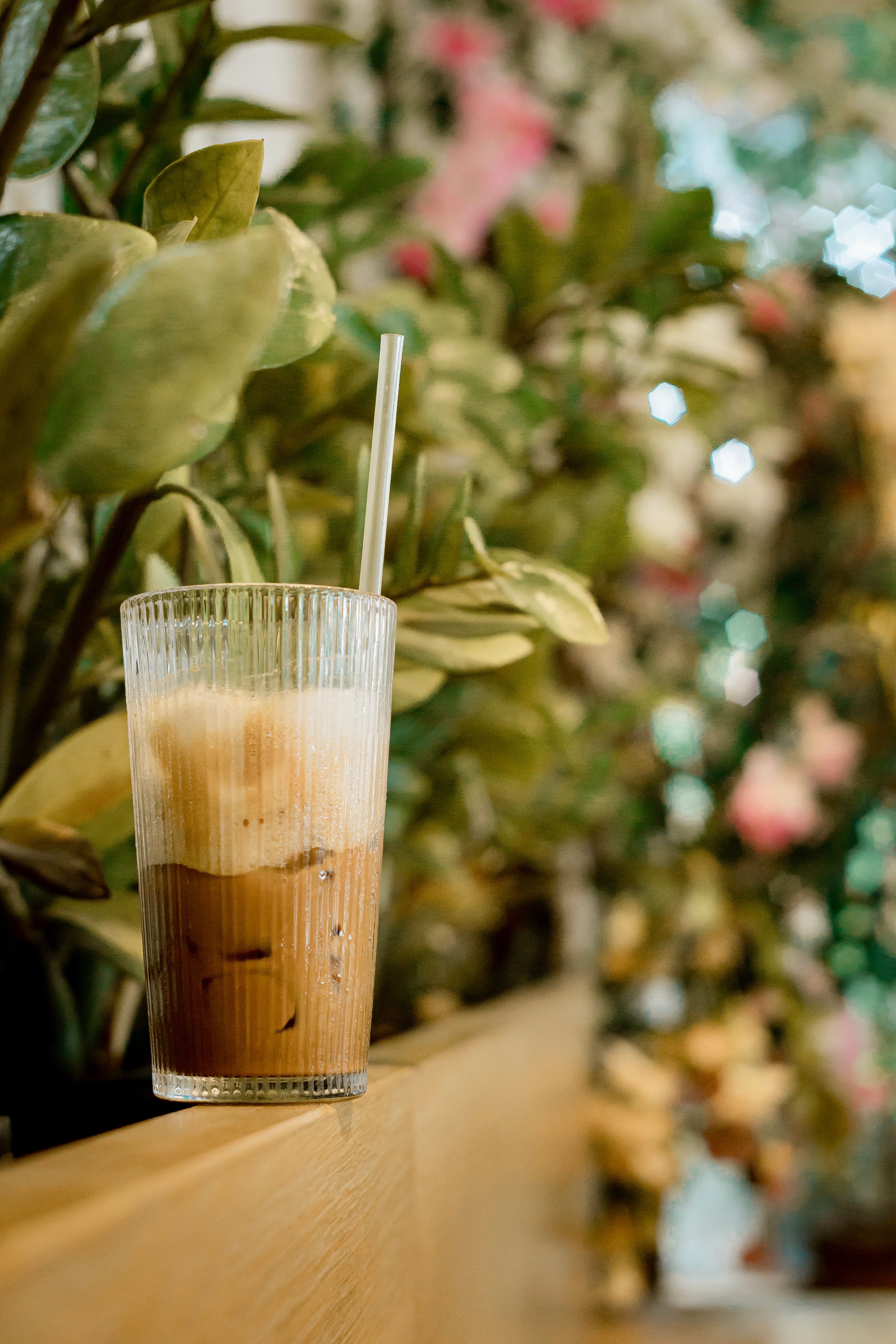 Ice Latte