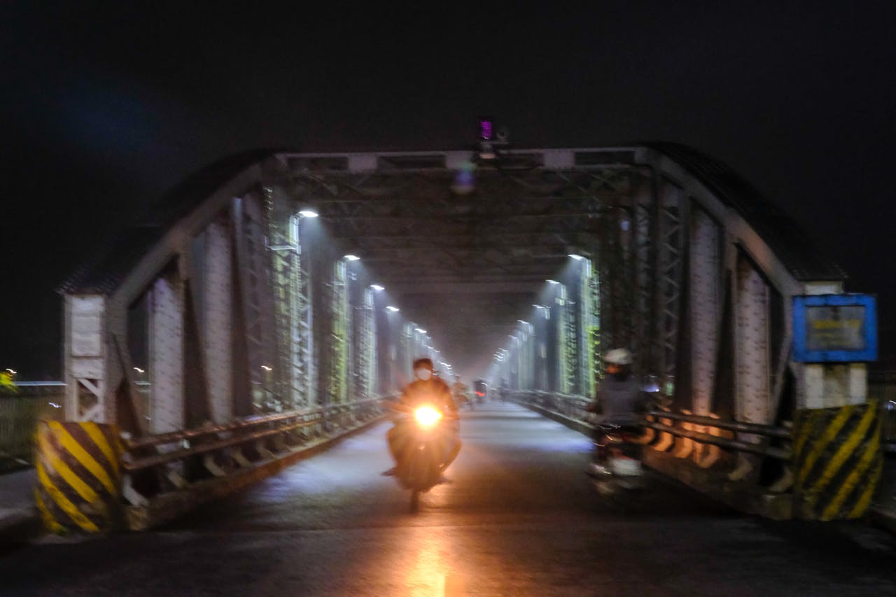 Cho mèo ăn trong nhà