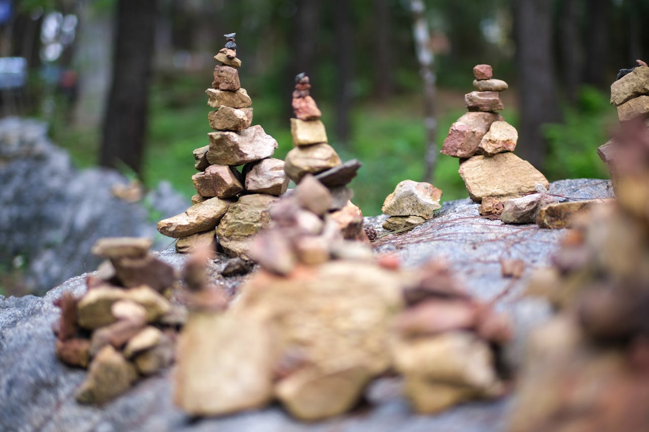 Sự tiến hóa của vai trò làm cha