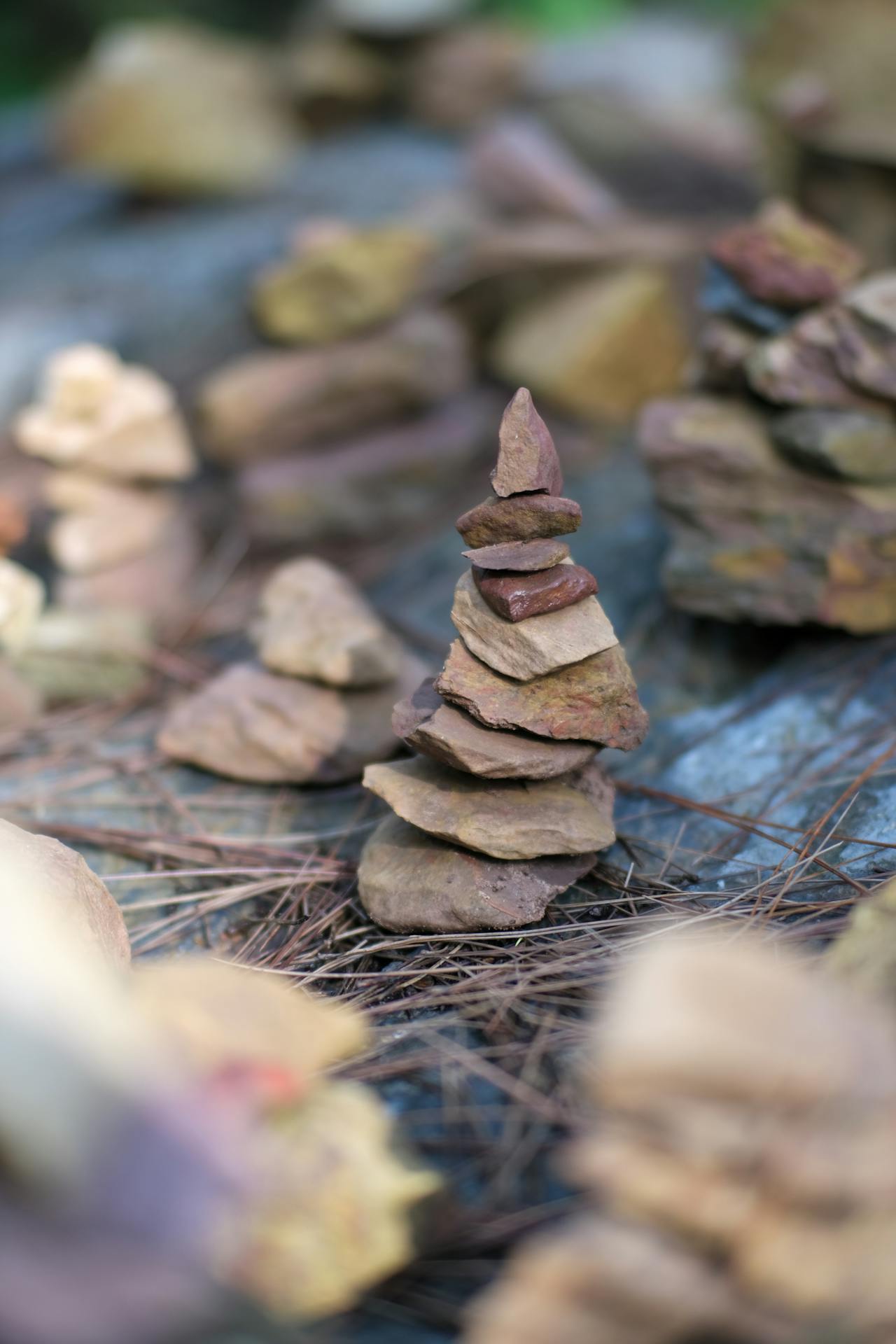 Thám tử lừng danh Conan | Chương 0290