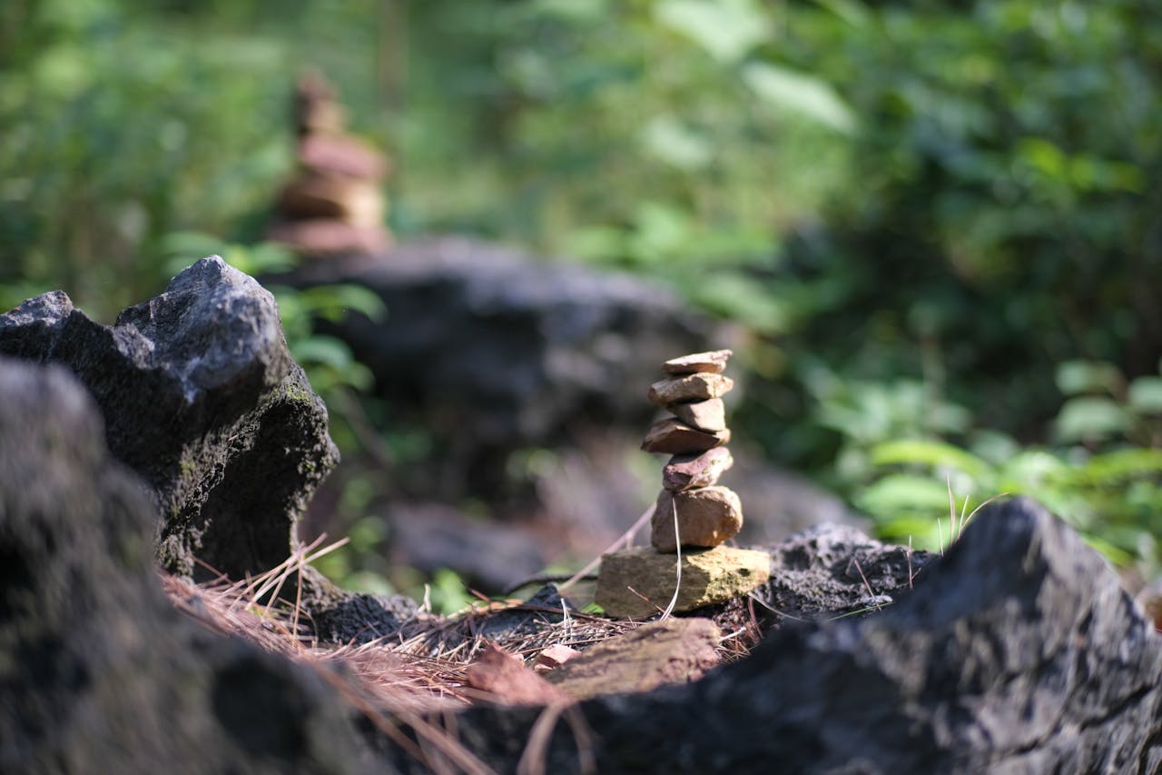 Lợi ích của liệu pháp thiên nhiên