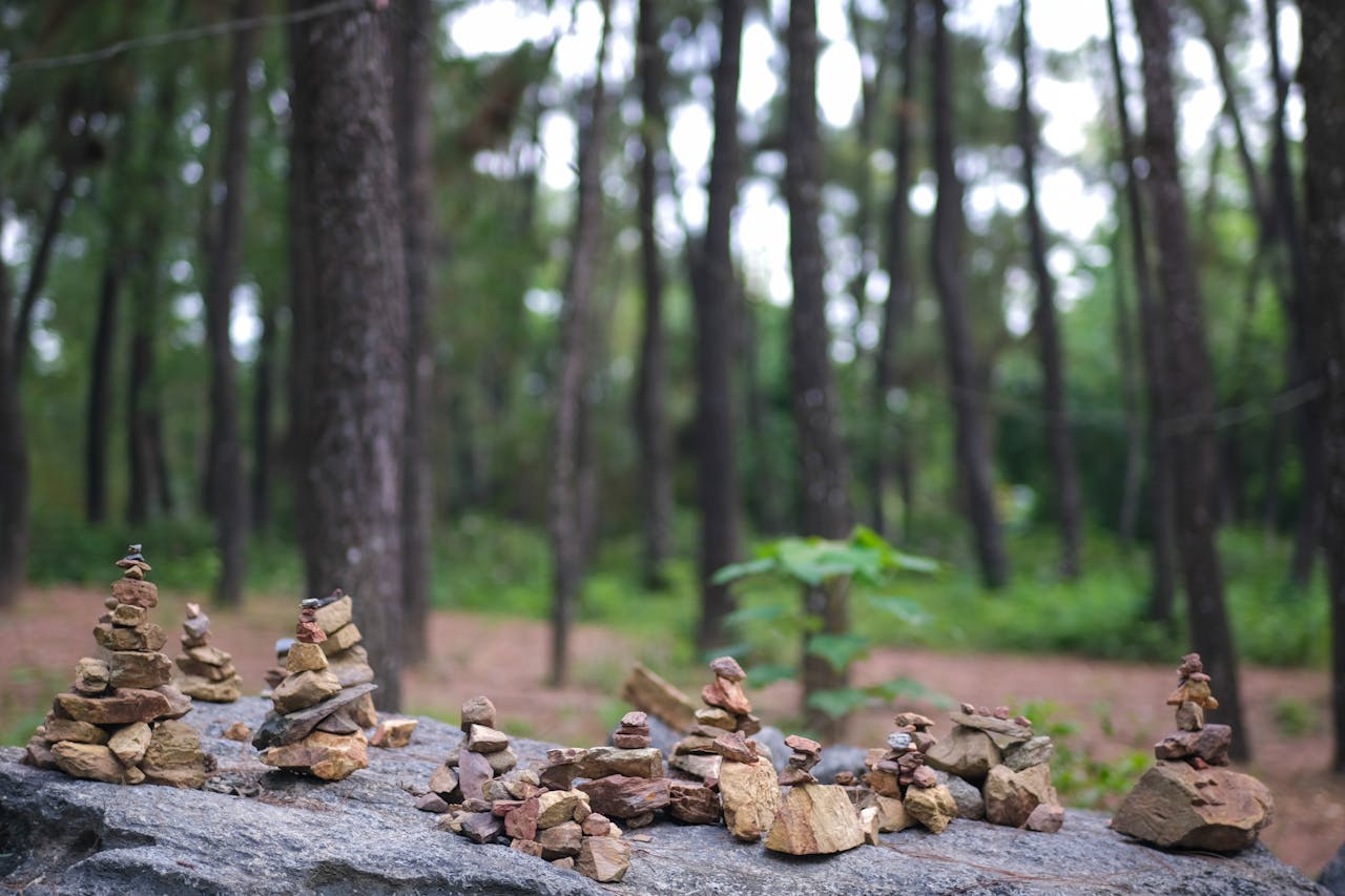 Biên niên ký chim vặn dây cót | Chương 49