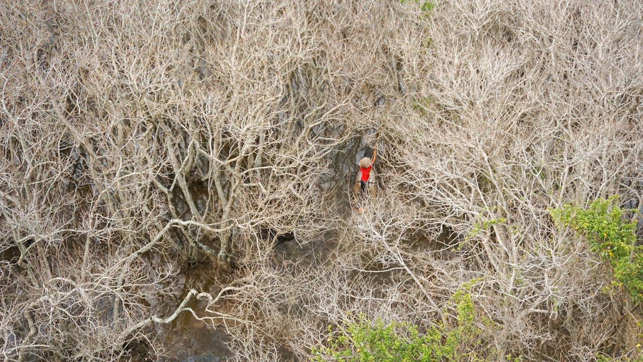 Tại sao viết lách quan trọng?