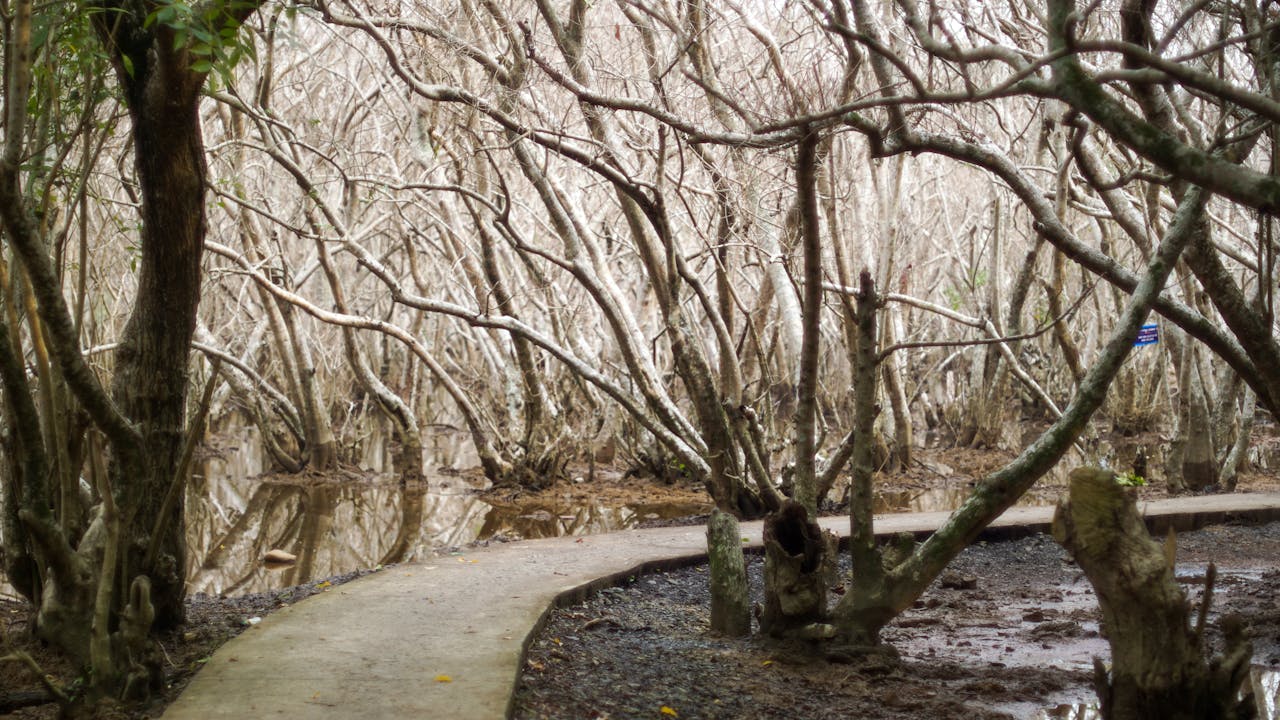 100+ caption, câu nói, câu văn hay về đam mê