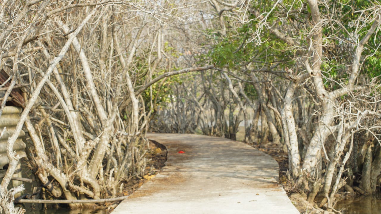 Bao bì rực rỡ đầu tiên của LSD Blotter