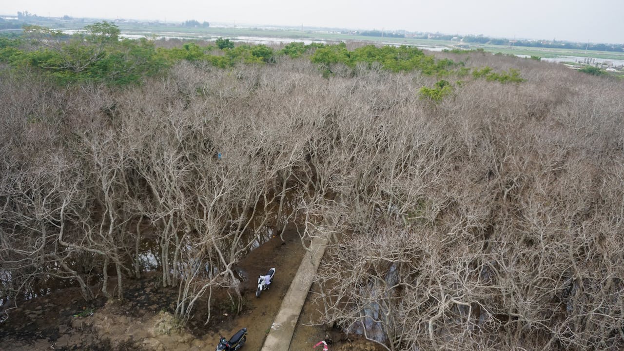 Vì sao nhà vật lý đưa chồn vào máy gia tốc