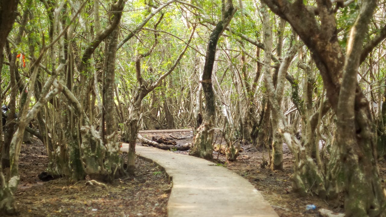 Gián điệp mạng | Chương 20