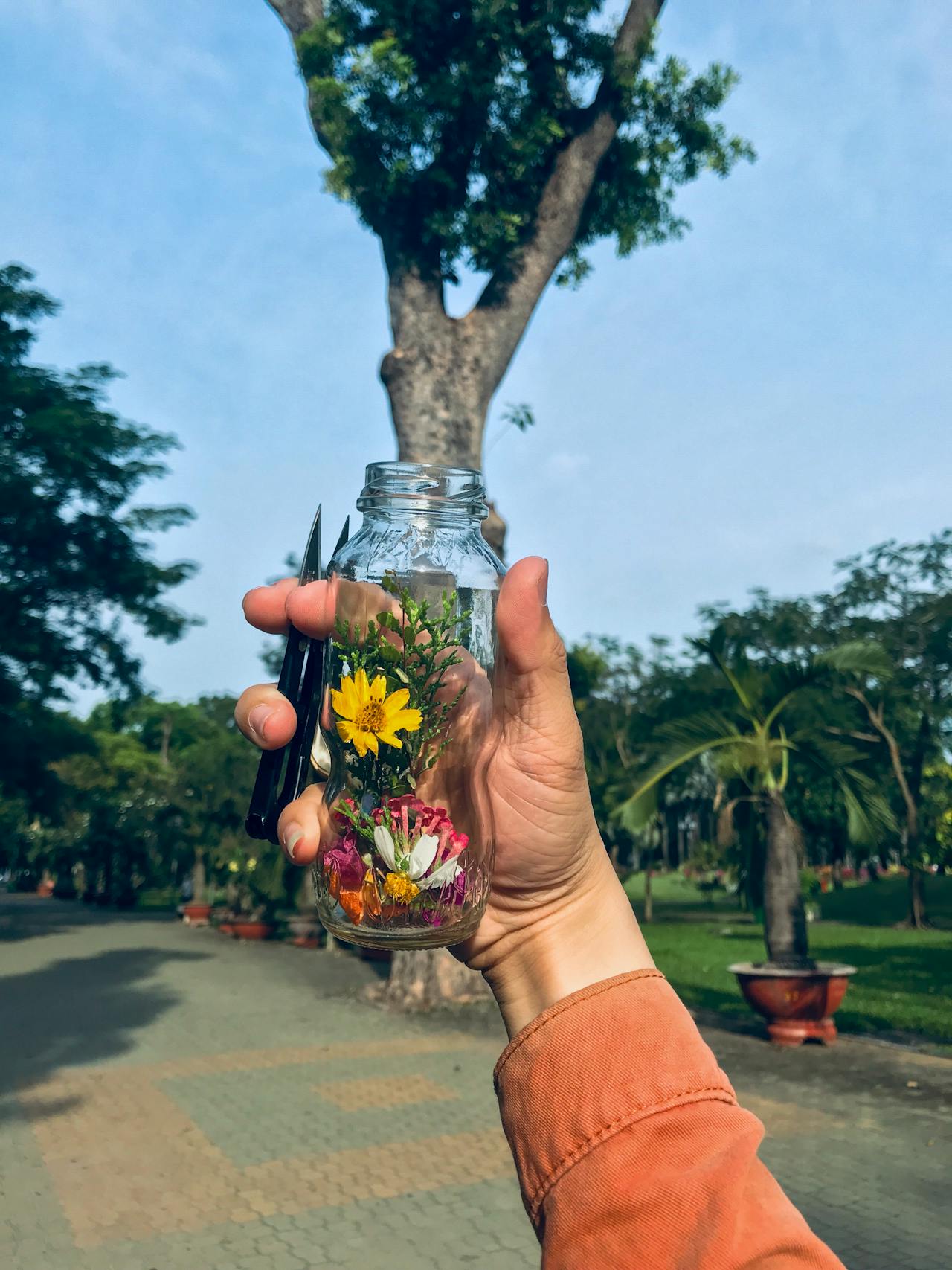 Diễn từ Nobel Văn học 1996 – Nhà thơ và thế giới, Wisława Szymborska