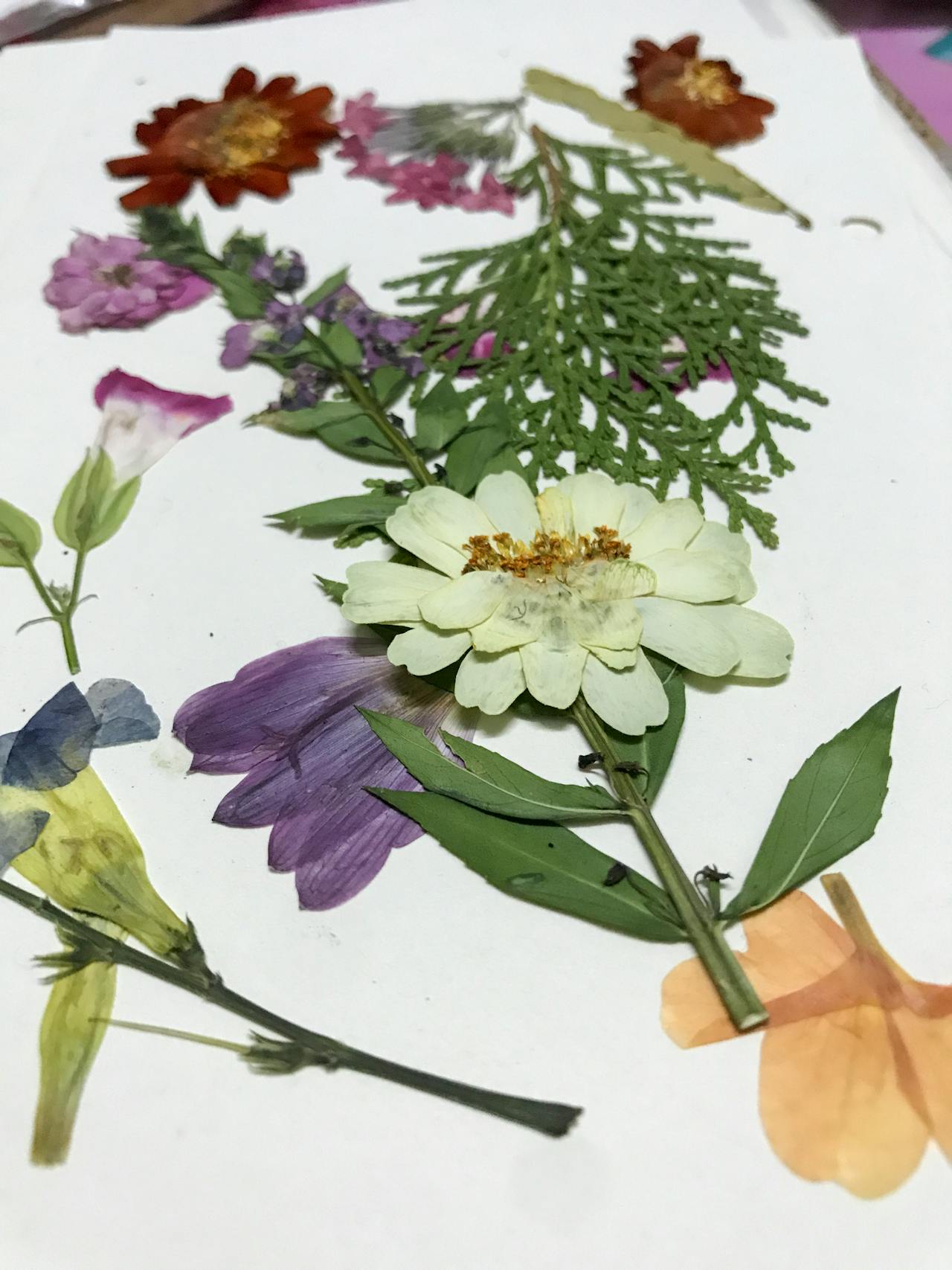 Học cách cố gắng mà không tạo ra sự mù quáng