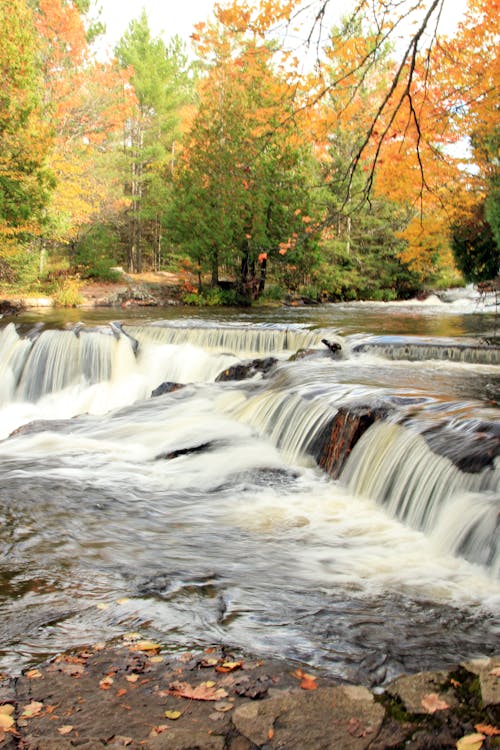 Free stock photo of autumn, fall, fall colors