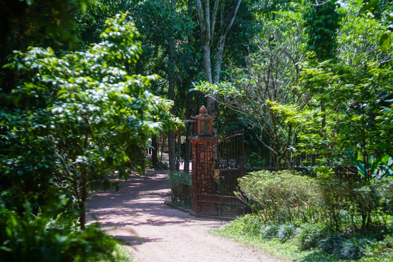 5 nghi lễ cổ xưa tiêu diệt và tạo ra zombie