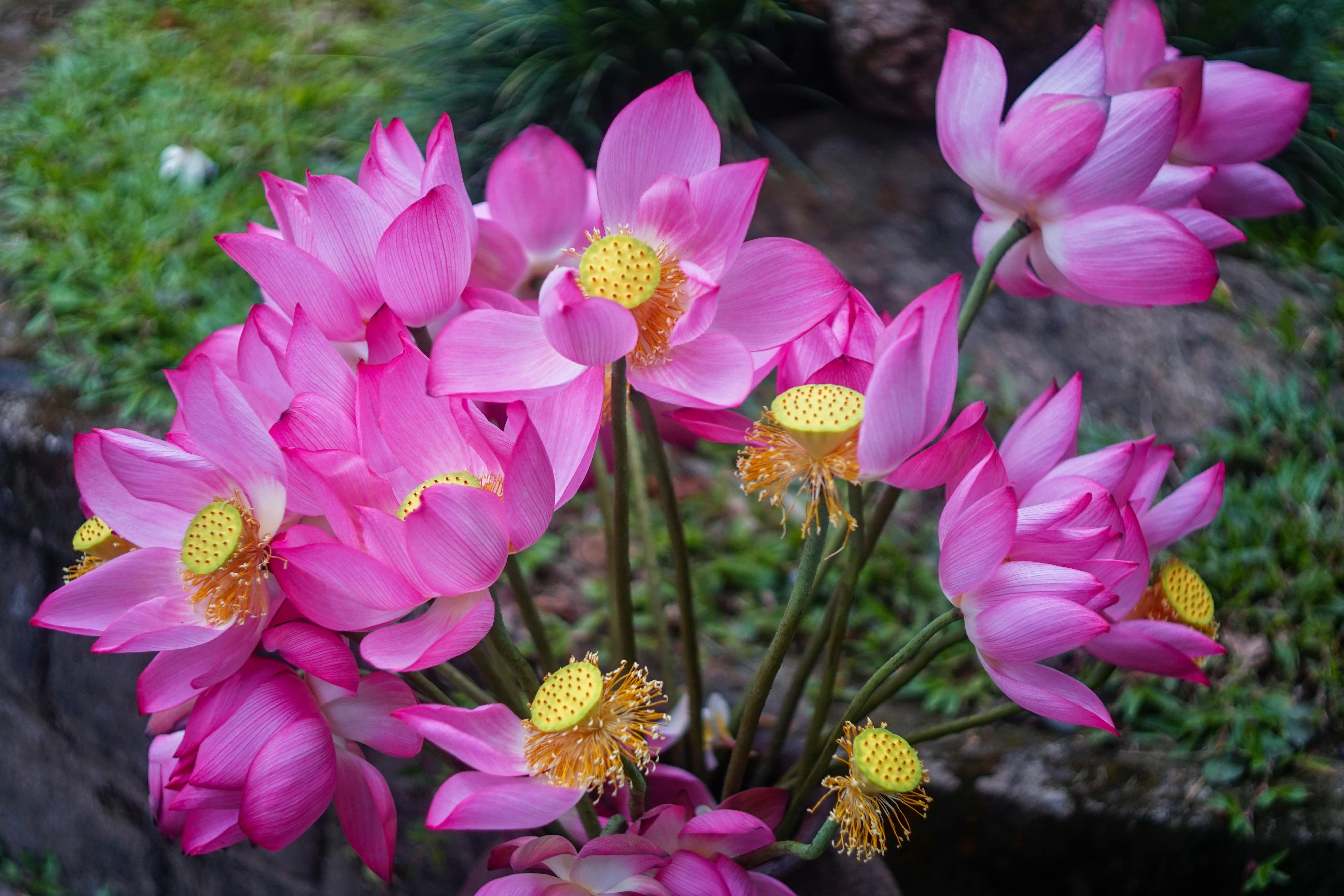 Bây giờ mới thấy | Chương 06