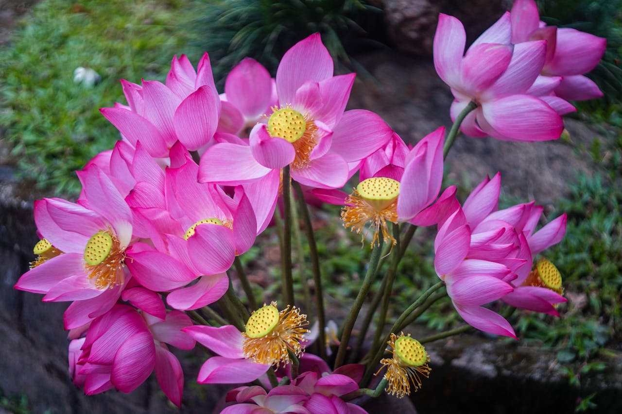 Thám tử lừng danh Conan | Chương 1045